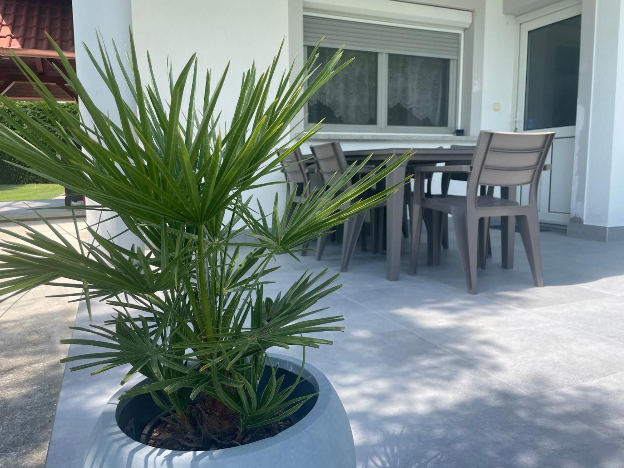 Balatongyörök Frankie Holiday Apartment Ii. מראה חיצוני תמונה